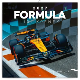 Falinaptár 2027 REAL lemez 300 x 600mm Formula