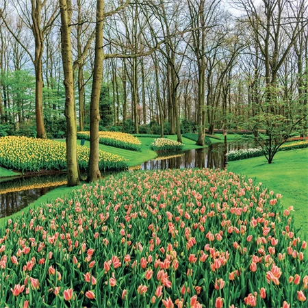 Falinaptár 2027 REAL lemez 300 x 600mm Gardens