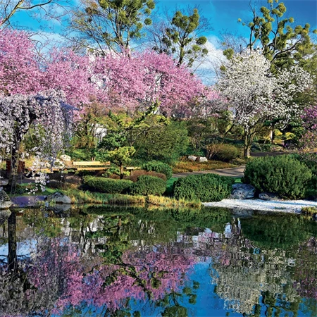 Falinaptár 2027 REAL lemez 300 x 600mm Gardens