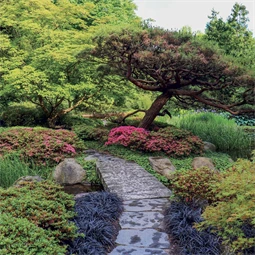 Falinaptár 2027 REAL lemez 300 x 600mm Gardens