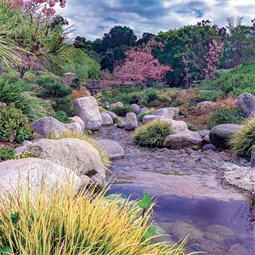 Falinaptár 2027 REAL lemez 300 x 600mm Gardens