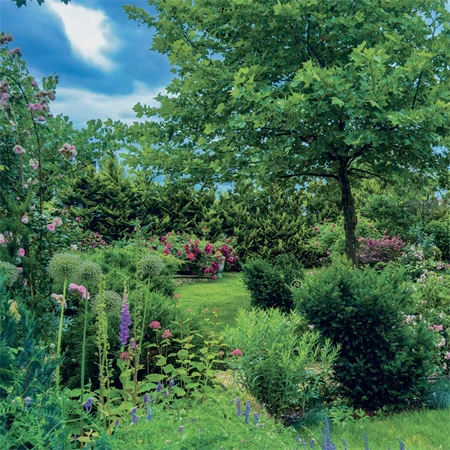 Falinaptár 2027 REAL lemez 300 x 600mm Gardens