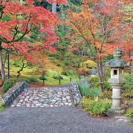 Falinaptár 2027 REAL lemez 300 x 600mm Gardens
