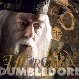 Falinaptár 2027 REAL lemez 300 x 600mm Harry Potter