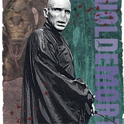Falinaptár 2027 REAL lemez 300 x 600mm Harry Potter