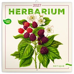 Falinaptár 2027 REAL lemez 300 x 600mm Herbarium
