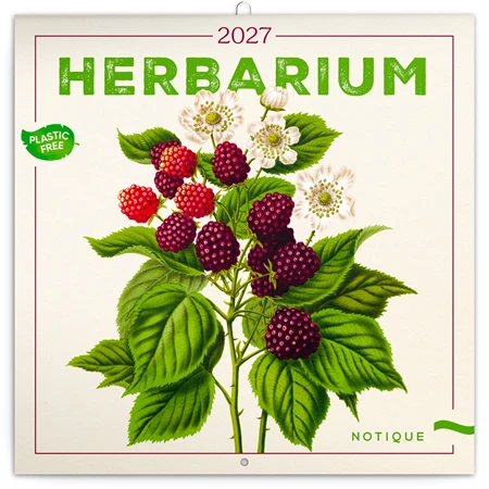 Falinaptár 2027 REAL lemez 300 x 600mm Herbarium