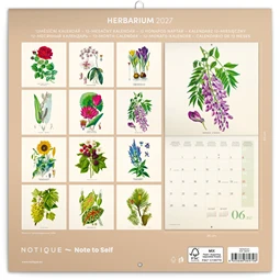 Falinaptár 2027 REAL lemez 300 x 600mm Herbarium