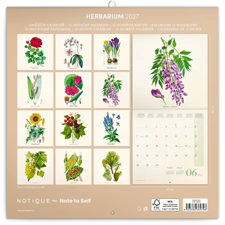 Falinaptár 2027 REAL lemez 300 x 600mm Herbarium