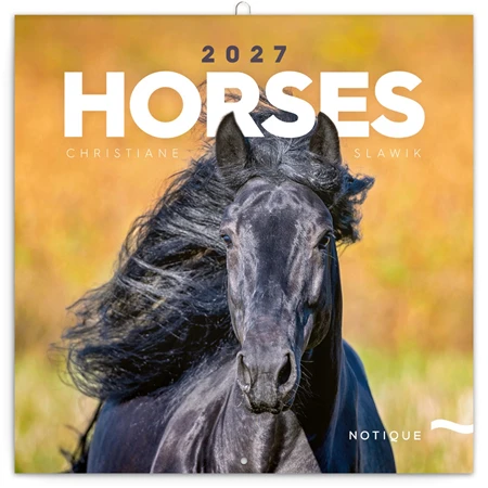 Falinaptár 2027 REAL lemez 300 x 600mm Horses