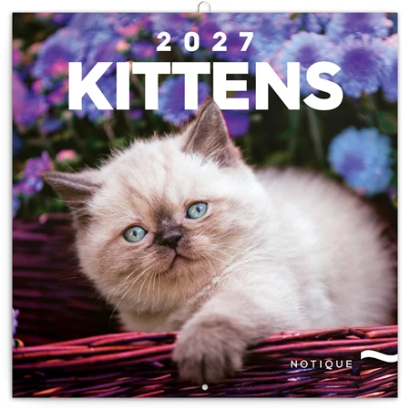 Falinaptár 2027 REAL lemez 300 x 600mm Kittens