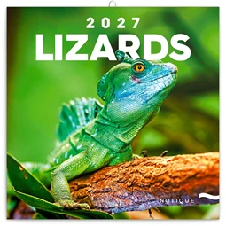 Falinaptár 2027 REAL lemez 300 x 600mm Lizards