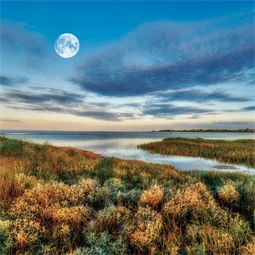 Falinaptár 2027 REAL lemez 300 x 600mm Moon