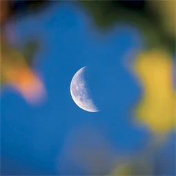 Falinaptár 2027 REAL lemez 300 x 600mm Moon