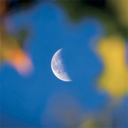 Falinaptár 2027 REAL lemez 300 x 600mm Moon