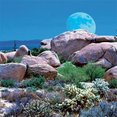 Falinaptár 2027 REAL lemez 300 x 600mm Moon
