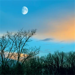 Falinaptár 2027 REAL lemez 300 x 600mm Moon