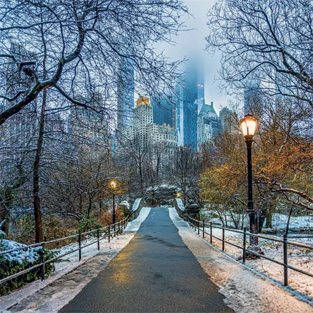 Falinaptár 2027 REAL lemez 300 x 600mm New York