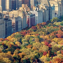 Falinaptár 2027 REAL lemez 300 x 600mm New York