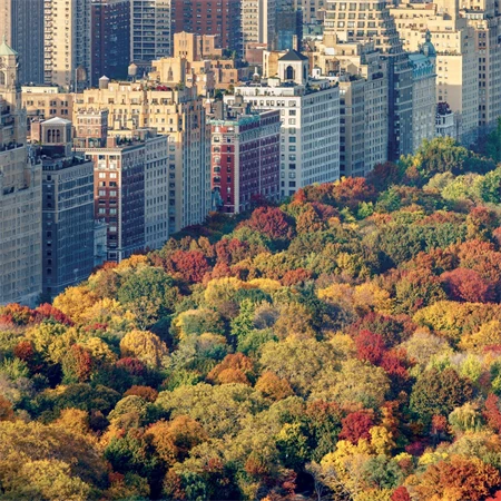 Falinaptár 2027 REAL lemez 300 x 600mm New York