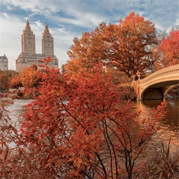 Falinaptár 2027 REAL lemez 300 x 600mm New York