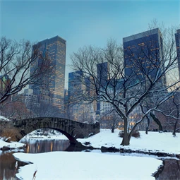 Falinaptár 2027 REAL lemez 300 x 600mm New York