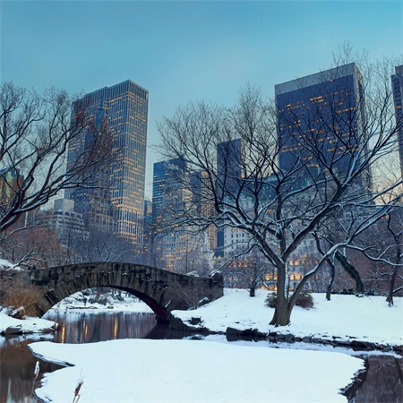 Falinaptár 2027 REAL lemez 300 x 600mm New York