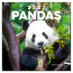 Falinaptár 2027 REAL lemez 300 x 600mm Pandas