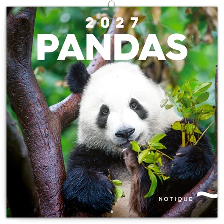 Falinaptár 2027 REAL lemez 300 x 600mm Pandas