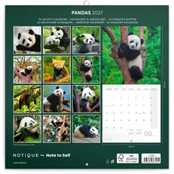 Falinaptár 2027 REAL lemez 300 x 600mm Pandas