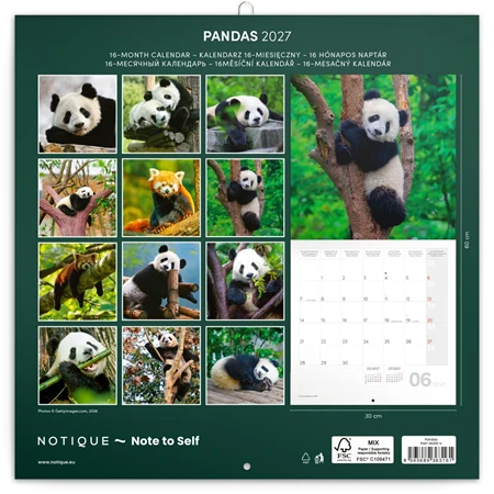 Falinaptár 2027 REAL lemez 300 x 600mm Pandas