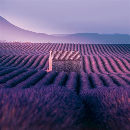 Falinaptár 2027 REAL lemez 300 x 600mm Provence illatosított