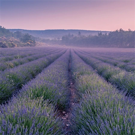 Falinaptár 2027 REAL lemez 300 x 600mm Provence illatosított