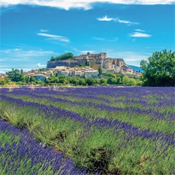 Falinaptár 2027 REAL lemez 300 x 600mm Provence illatosított