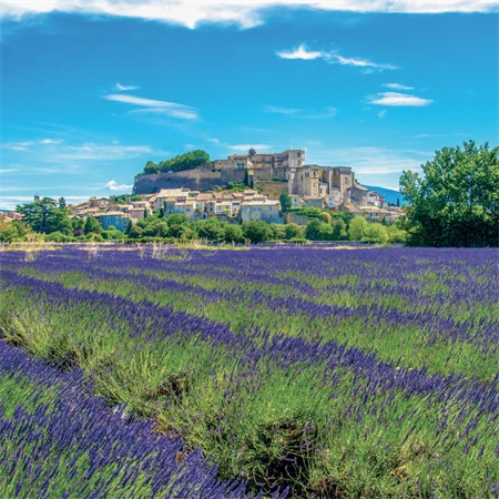 Falinaptár 2027 REAL lemez 300 x 600mm Provence illatosított