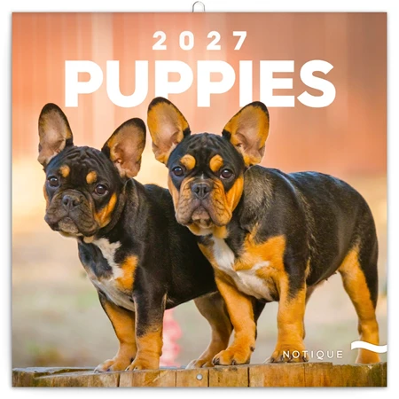 Falinaptár 2027 REAL lemez 300 x 600mm Puppies