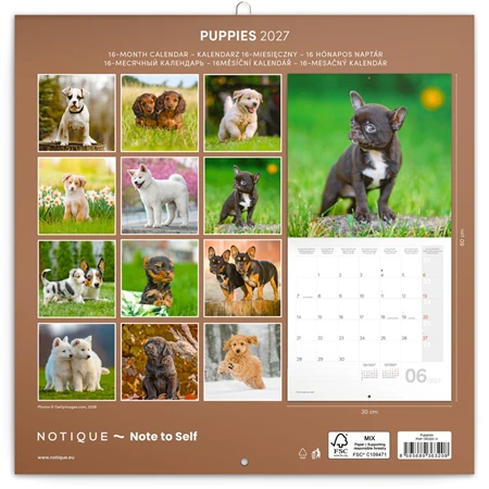 Falinaptár 2027 REAL lemez 300 x 600mm Puppies