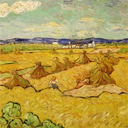Falinaptár 2027 REAL lemez 300 x 600mm Vincent van Gogh