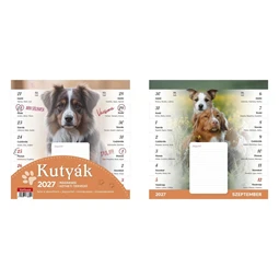 Falinaptár 2027 TOPTIMER T090 kéthetes tervező 220x220mm mágneses Kutyák