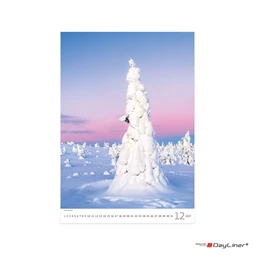 Falinaptár 2027 TOPTIMER T091 315×450mm álló Trees