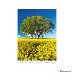 Falinaptár 2027 TOPTIMER T091 315×450mm álló Trees