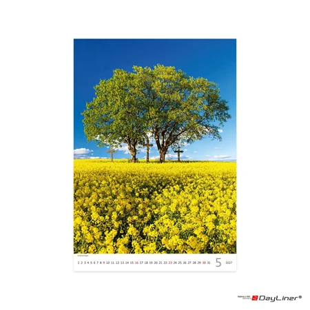 Falinaptár 2027 TOPTIMER T091 315×450mm álló Trees