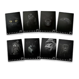 Füzet A/4 kockás PIGNA 38 lapos Monocromo Black vegyes, minta nem választható