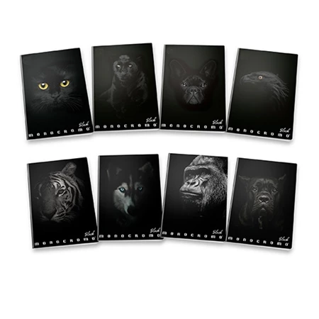 Füzet A/4 kockás PIGNA 38 lapos Monocromo Black vegyes, minta nem választható