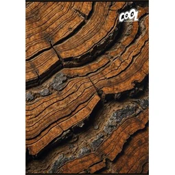 Füzet A/4 kockás COOL BY VICTORIA 80 lap "Wood & Rock"