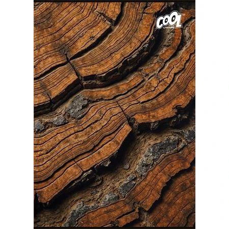 Füzet A/4 kockás COOL BY VICTORIA 80 lap "Wood & Rock"