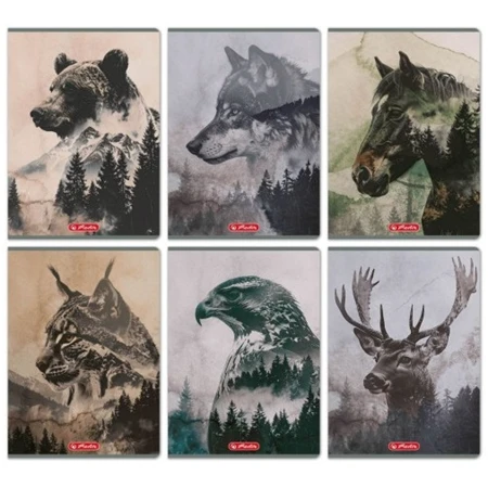 Füzet A/4 kockás HERLITZ 32 lapos Into The Wild 87-32 vegyes, minta nem választható