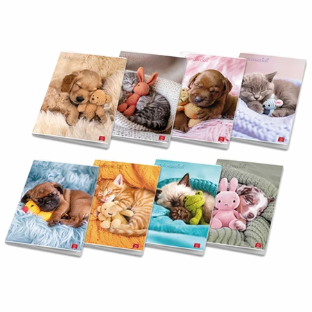 Füzet A/4 kockás PIGNA 42lap Dolci Cuccioli, vegyes minta, szín nem választható