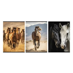 Füzet A/4 kockás STREET 54 lapos Horses 1db, minta nem választható