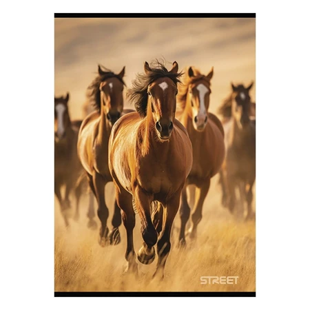 Füzet A/4 kockás STREET 54 lapos Horses 1db, minta nem választható